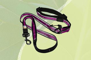 A Kurgo Quantum 6-In-1 Dog Leash on a two tone green background