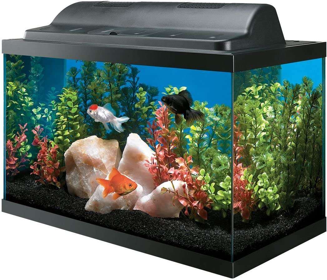 全玻璃水族馆AAG09009水箱和生态罩组合
