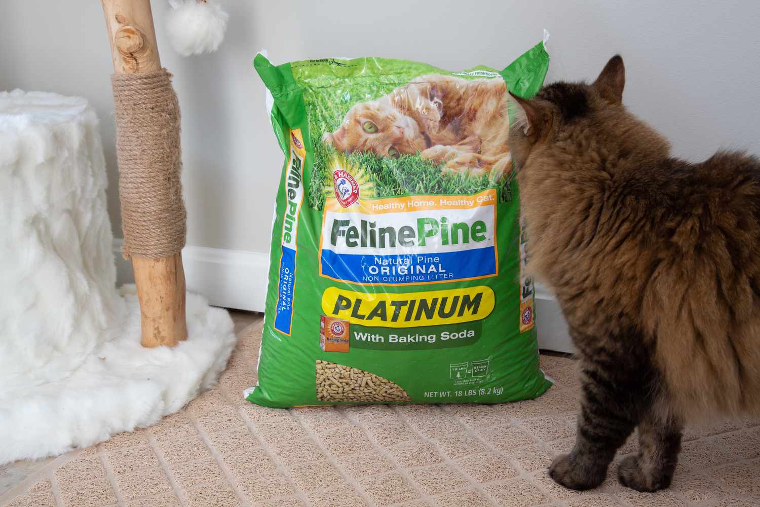 Cat sniffing a bag of Arm & Hammer Feline Pine Original Cat Litter