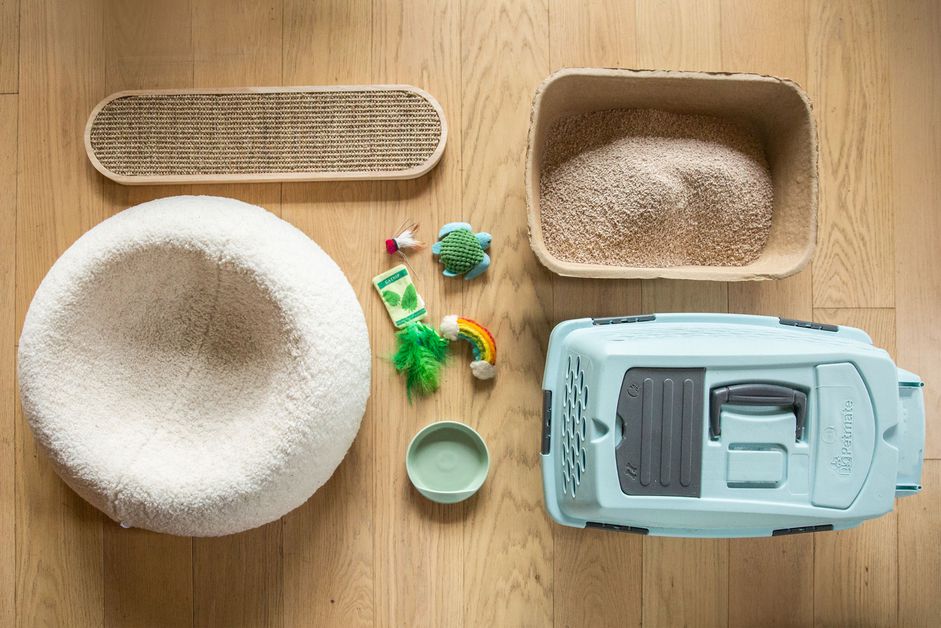 猫粮、床上用品、玩具和板条箱摆放在木地板上