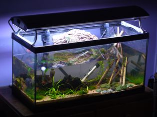 水族馆的温度