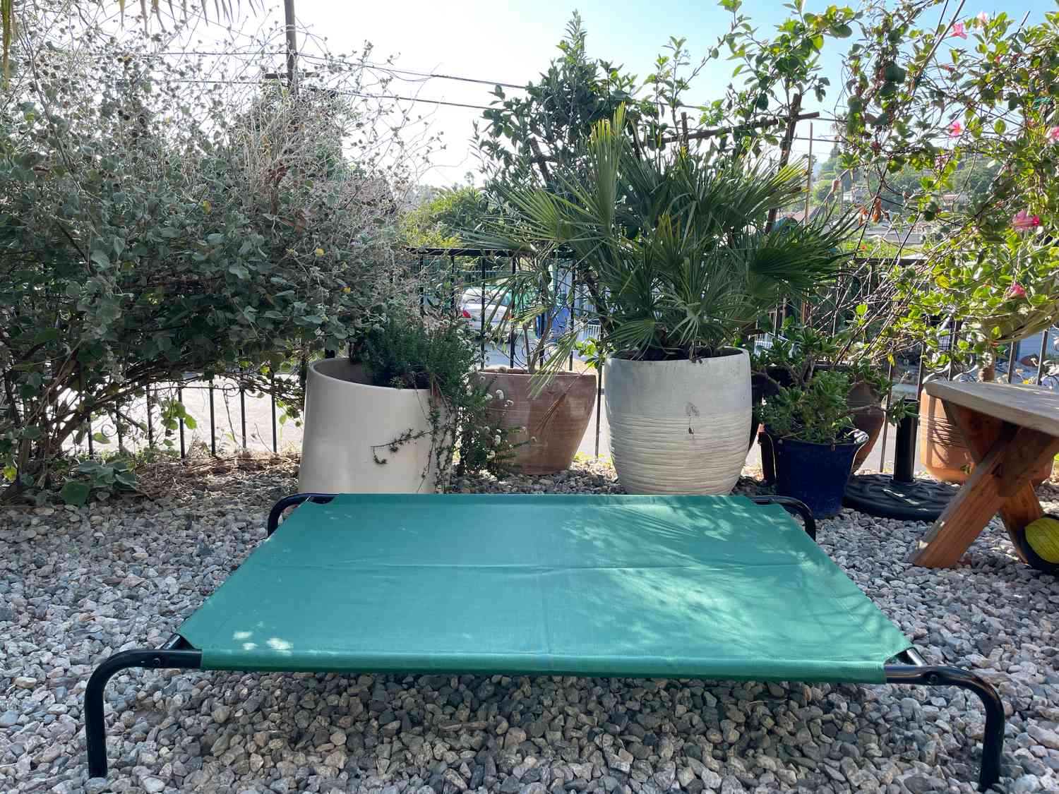 亚马逊基础冷却Elevated Pet Bed