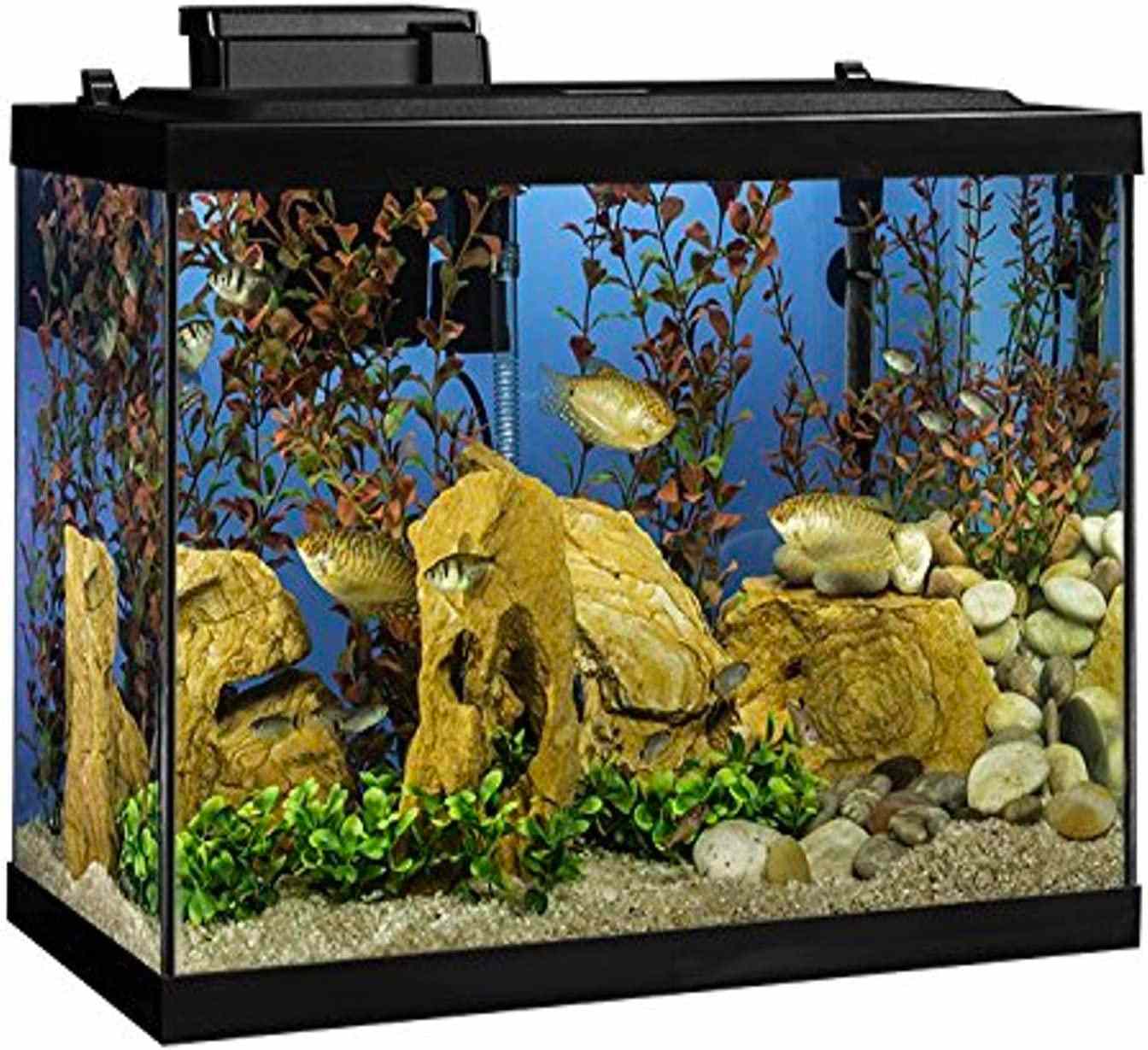 利乐水族馆20加仑鱼缸套件