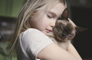 Girl holding Burmese cat