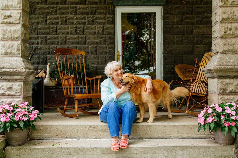 老年妇女和金毛猎犬的肖像
