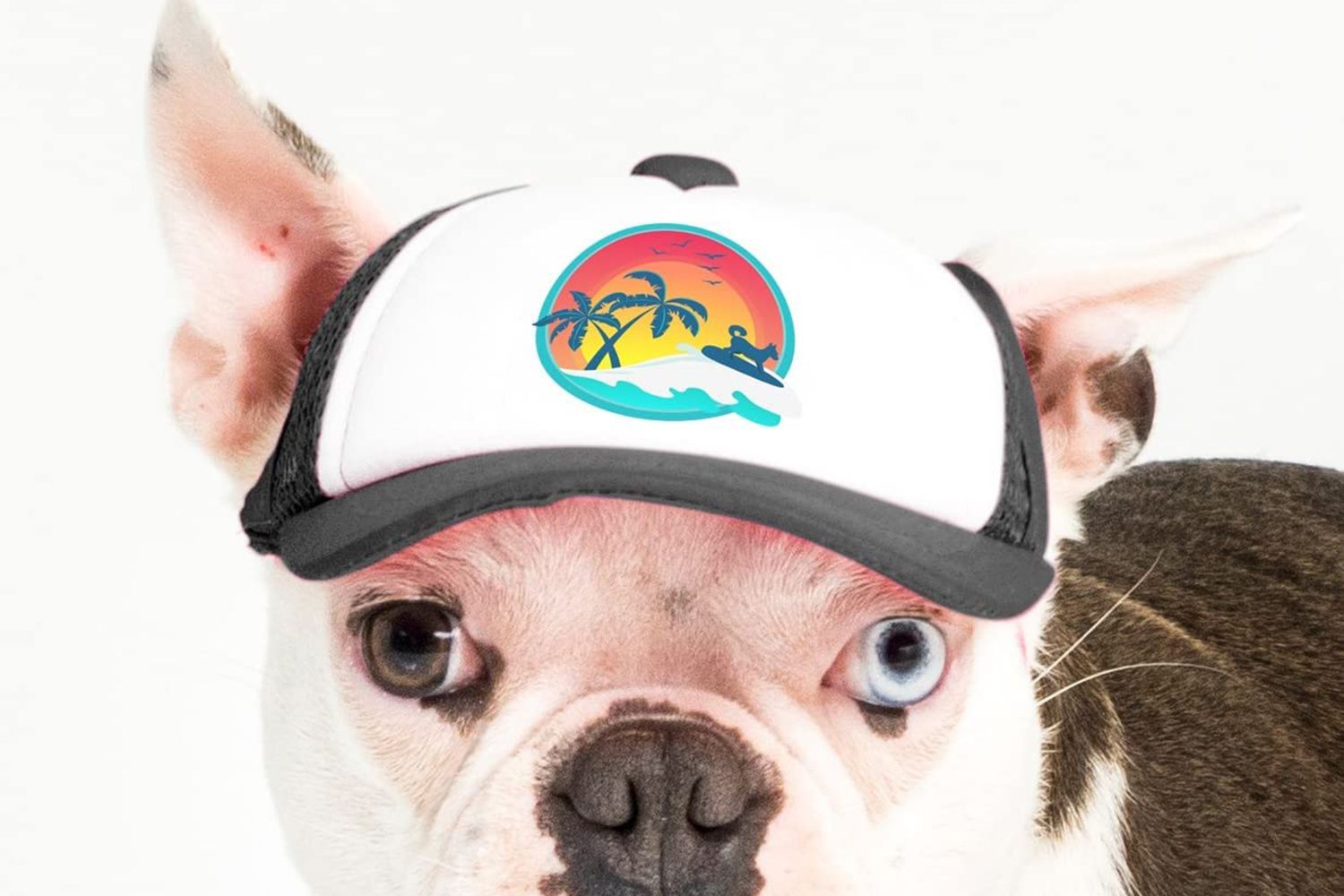 PupLid Trucker Hats