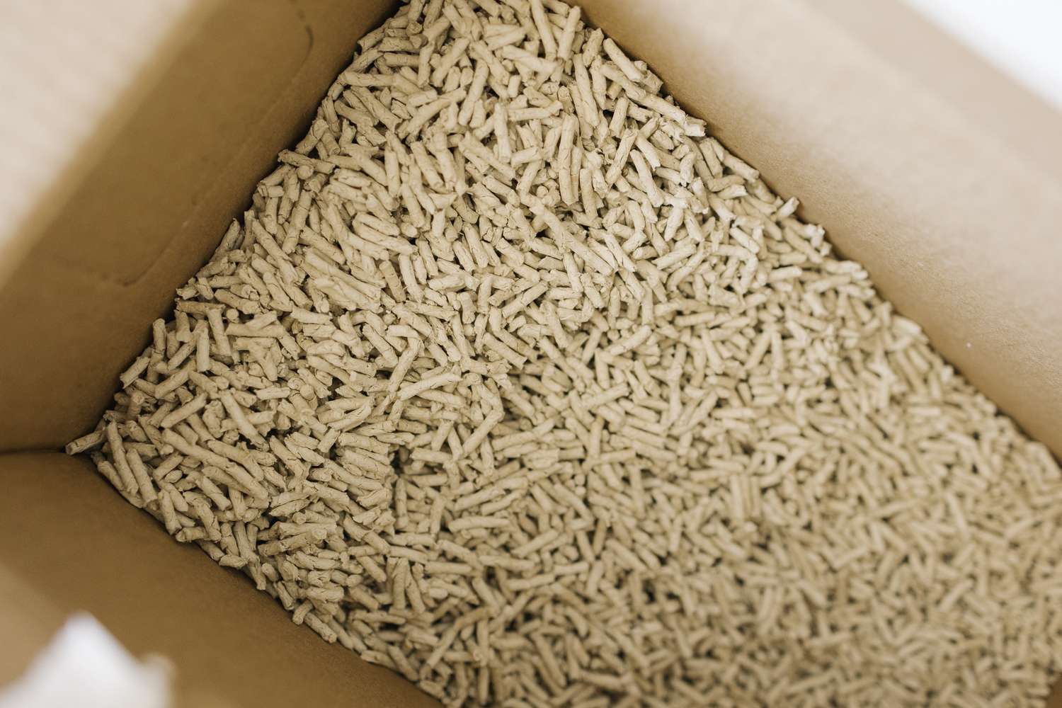 A look inside the packaging of Okocat's Non-Clumping Paper Pellet Litter