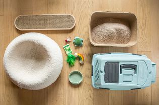 猫粮、床上用品、玩具和板条箱摆放在木地板上