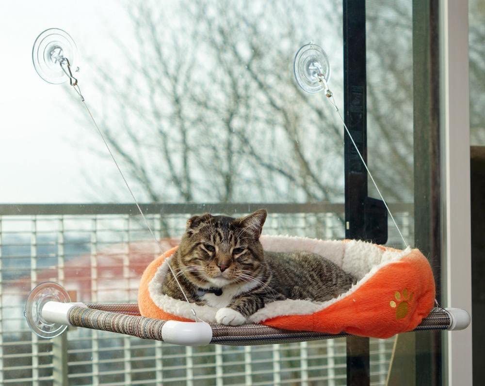 小猫床猫栖木