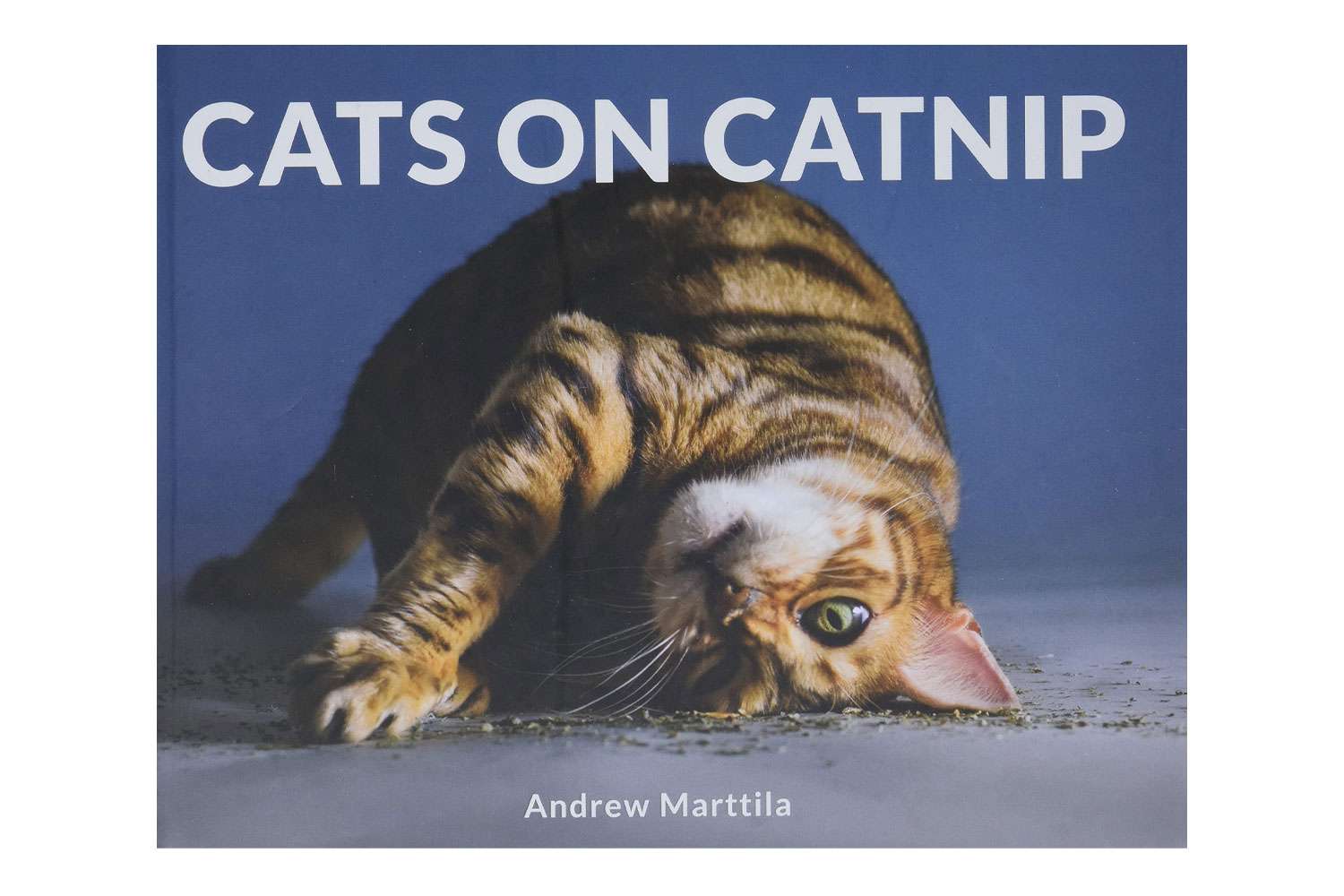 猫吃猫薄荷