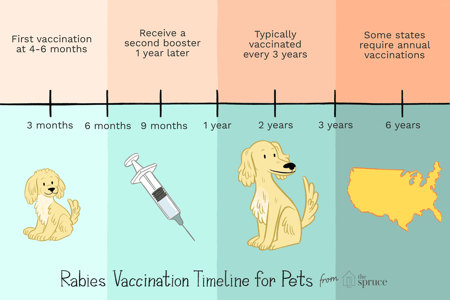 图示宠物狂犬病疫苗注射时间表