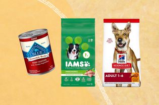 Dog food brands we recommend on a yellow background