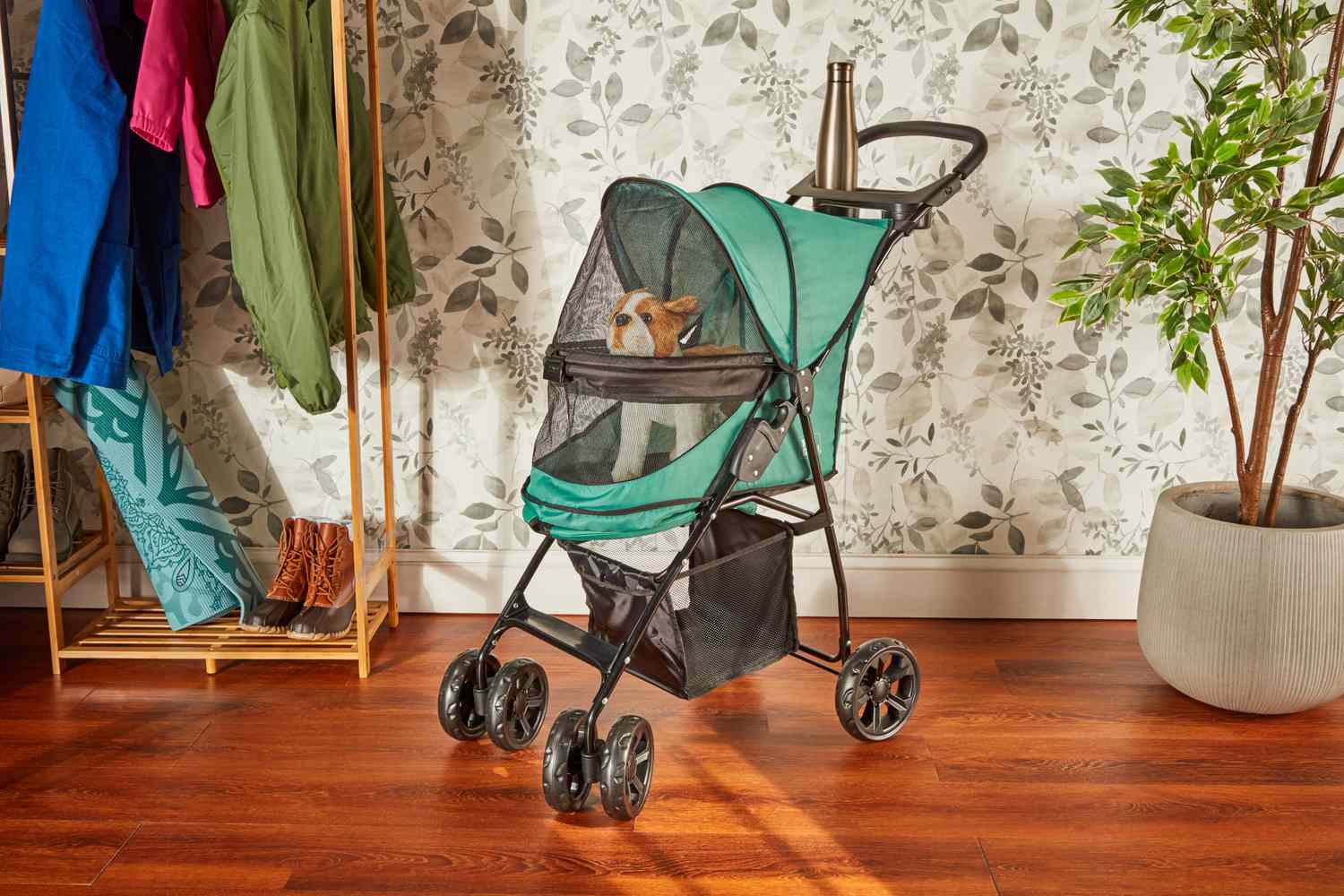 pet gear pet stroller