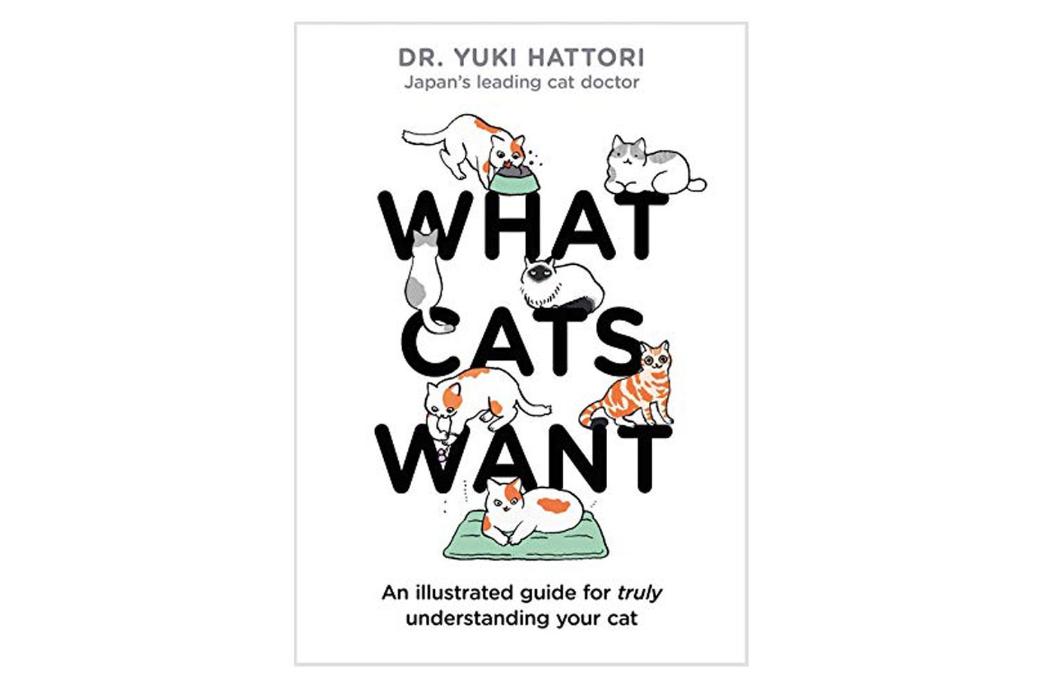 猫想要什么
