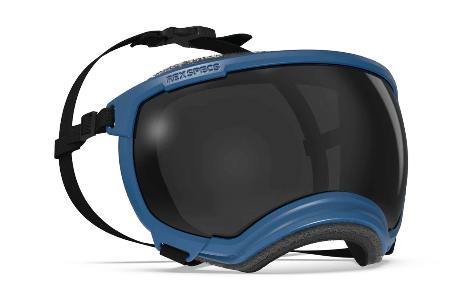 Rex Specs v2