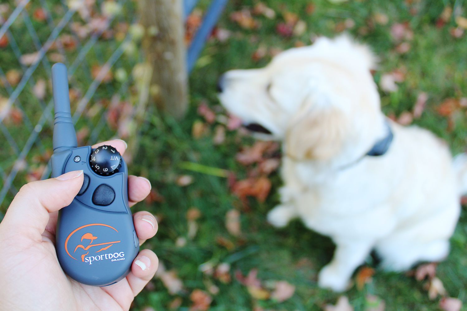 SportDOG FieldTrainer 425X训练项圈