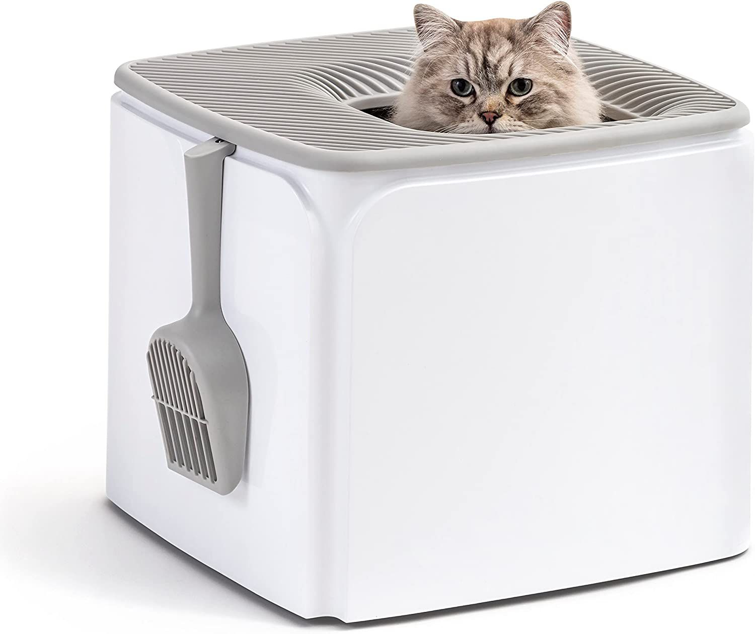 IRIS Square Top Entry Litter Box