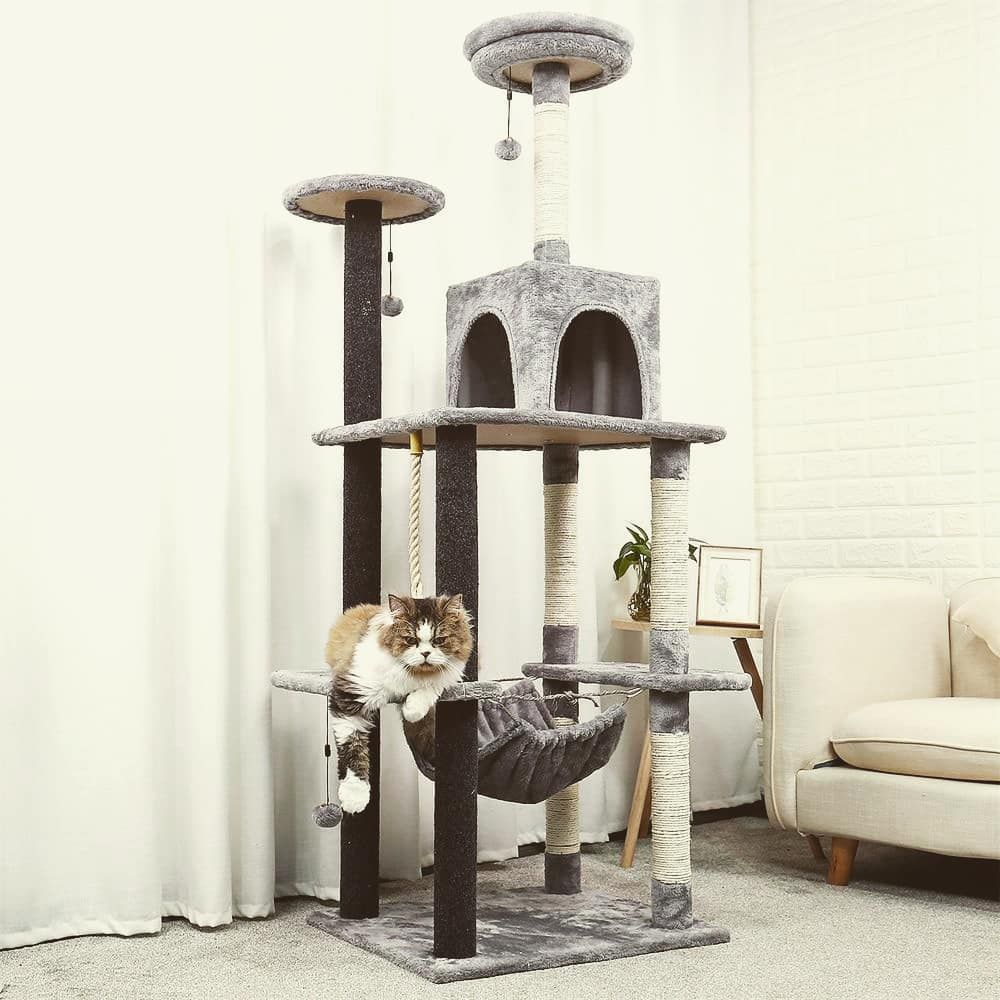 一只坐在现代猫树上的猫。
