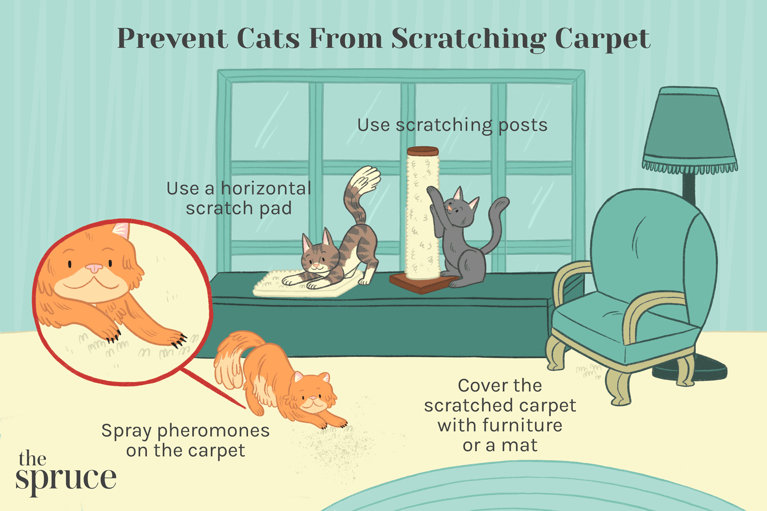 猫抓地毯的插图，以及如何阻止它