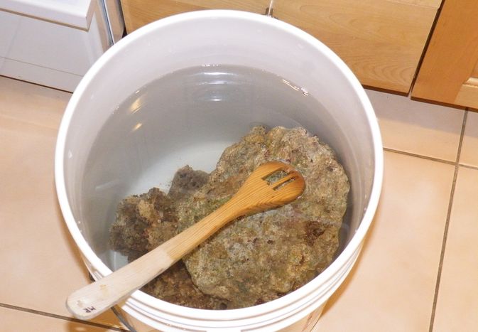古鲁湖第一个月来一开始是一种“水水节”