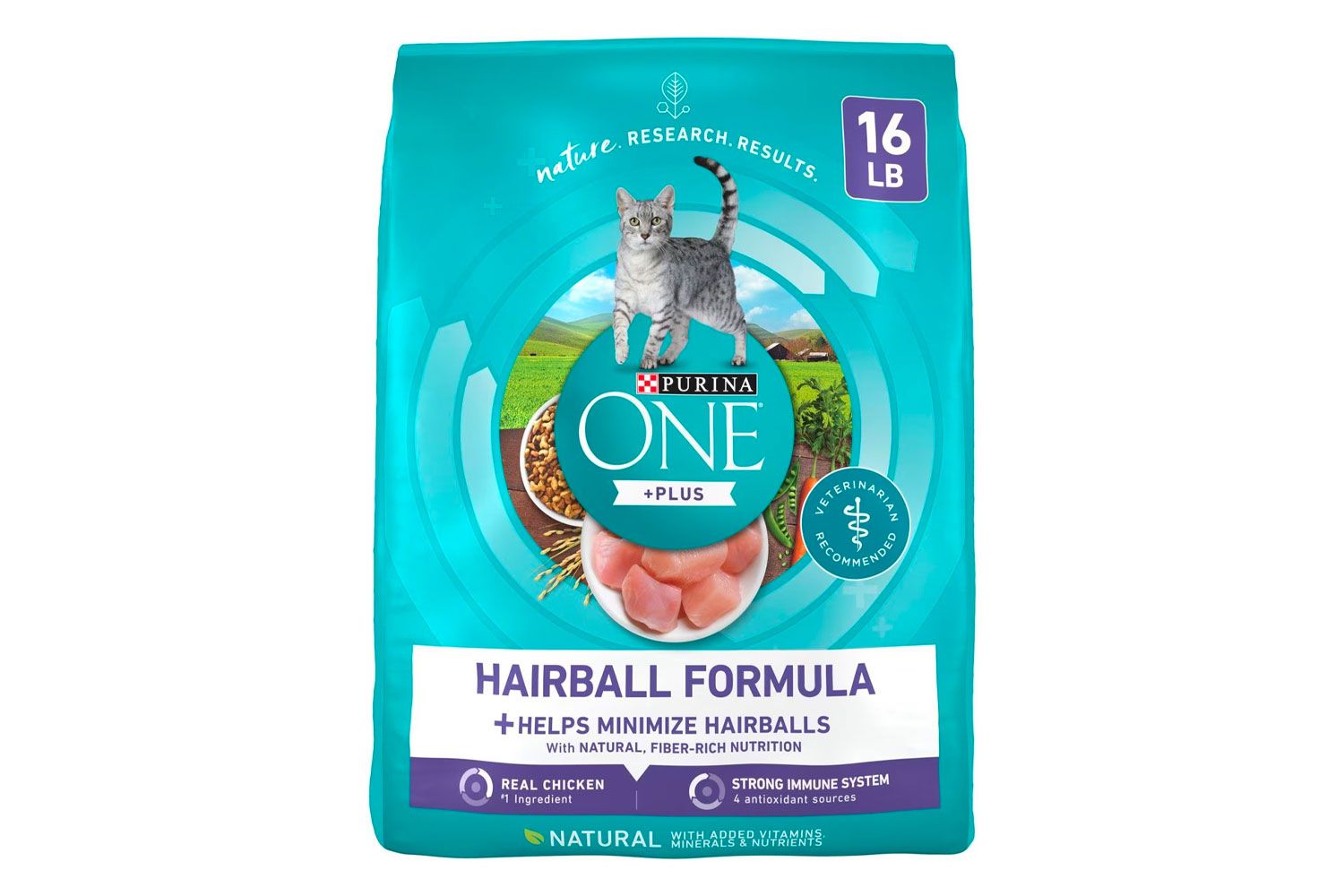 Chewy Purina ONE +Plus Hairball Formula