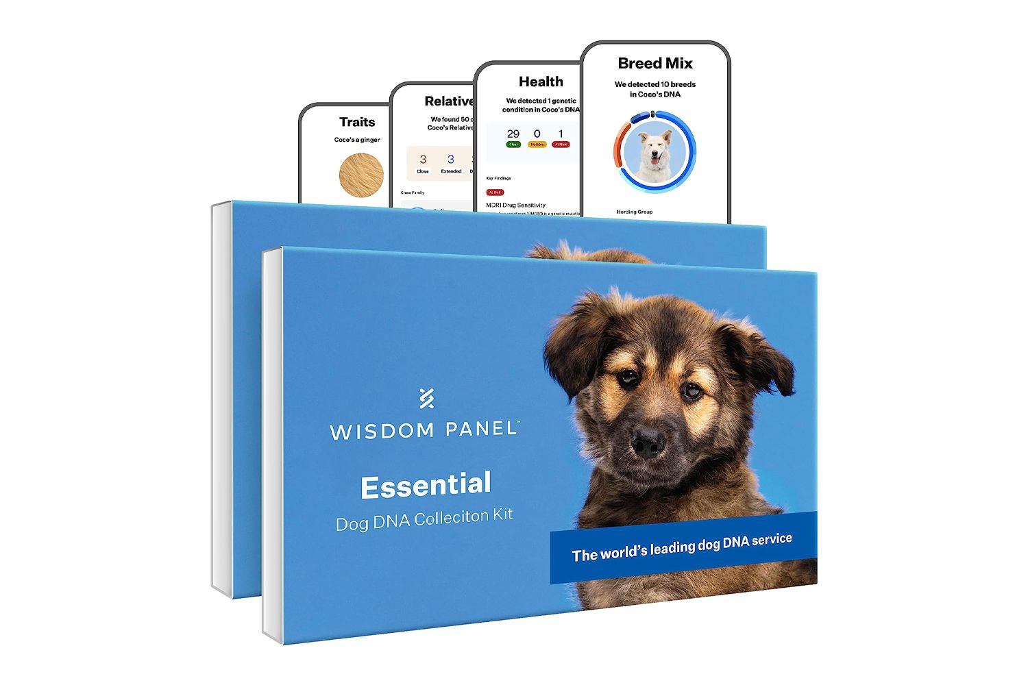 Wisdom Panel Essential Dog DNA Collection Kit