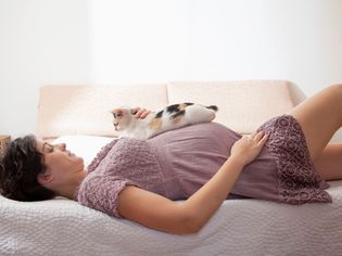 孕妇和猫的照片
