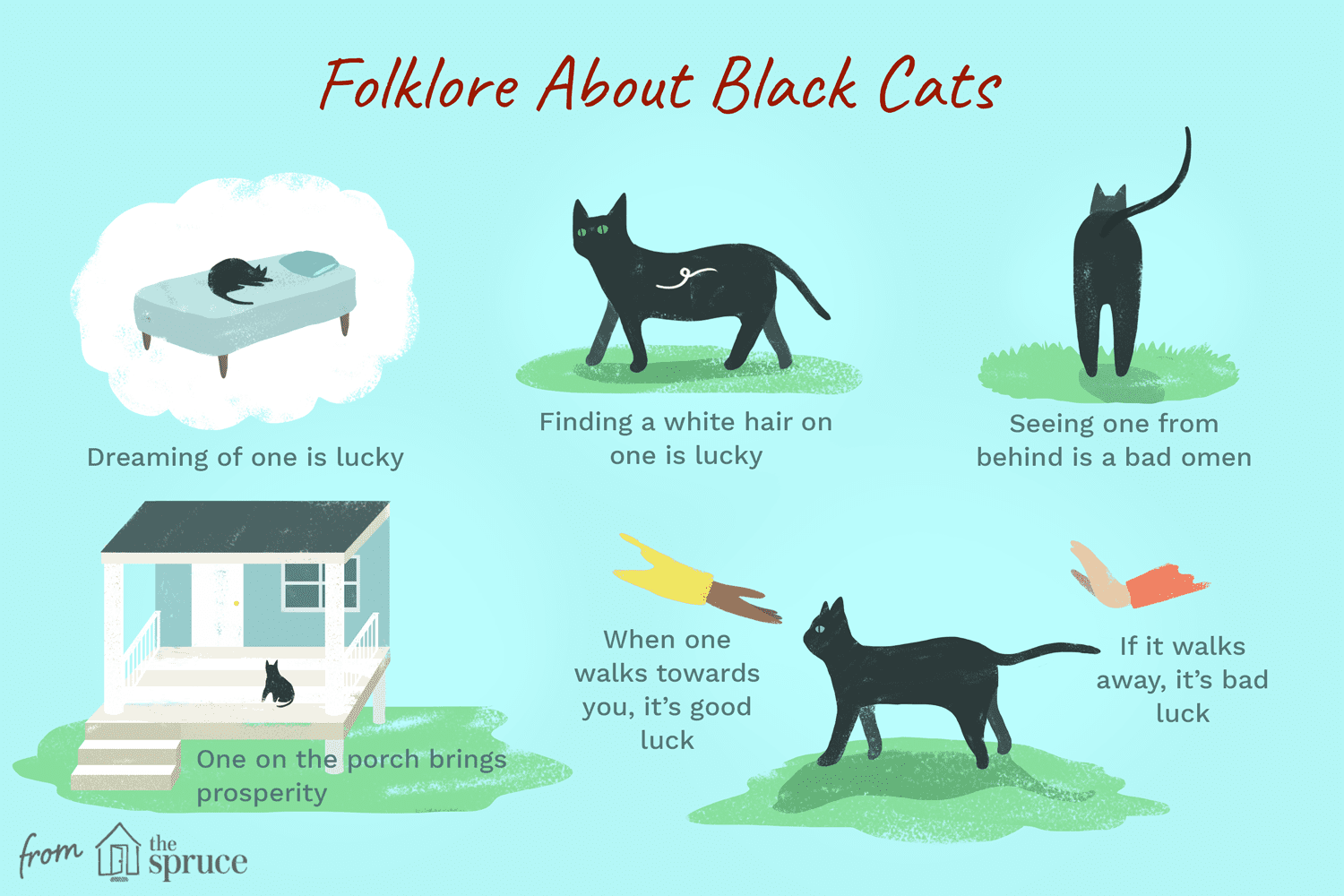关于黑猫的民间传说插图