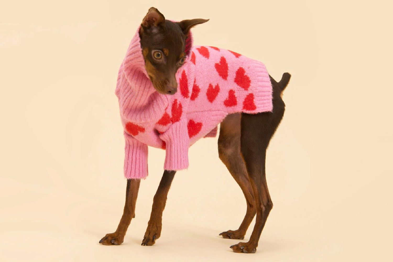 The Love Sweater