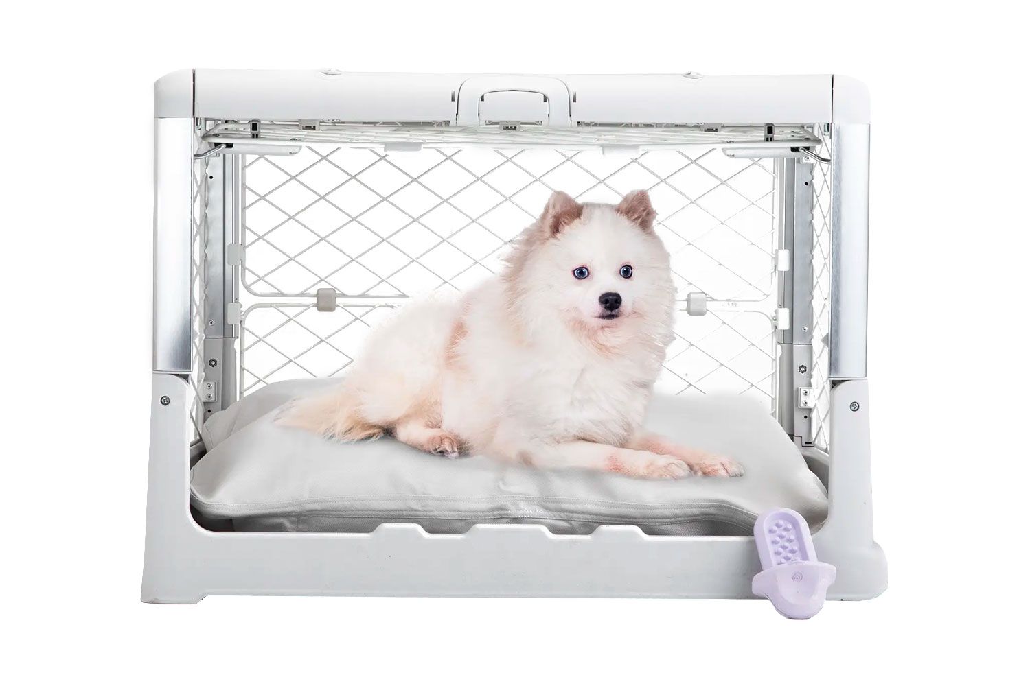 Diggs Puppy Crate & Bed Set