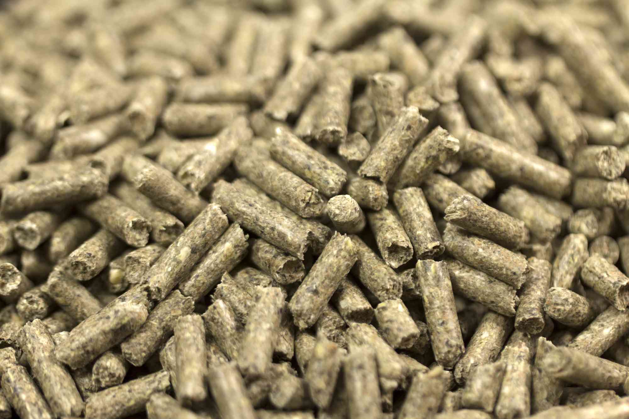 兔子颗粒可以用来在家里制作你自己的寄生虫