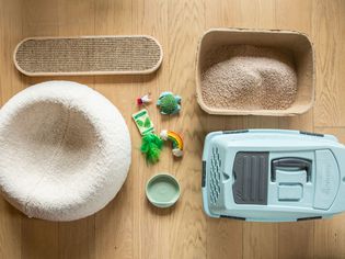 猫粮、床上用品、玩具和板条箱摆放在木地板上