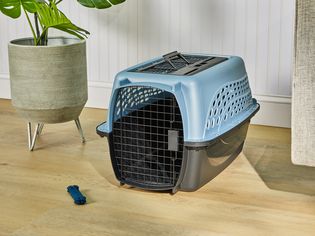 Petmate Two Door Pet Kennel for Pets up to 15 Pounds displayed on hardwood flooring next to a potted plant