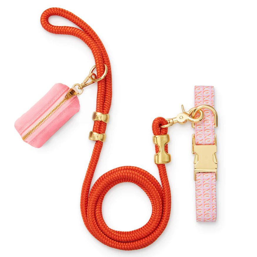 的福格y Dog Hugs & Kisses Collar Walk Set