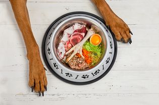生的食物放在狗碗里，还有狗脚。