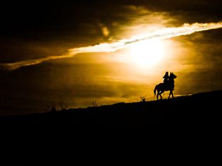 Horse and rider silhouetted against moonlight.