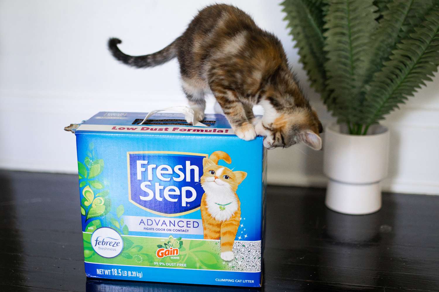 Fresh Step Advanced Clumping Cat Litter Gain Scent