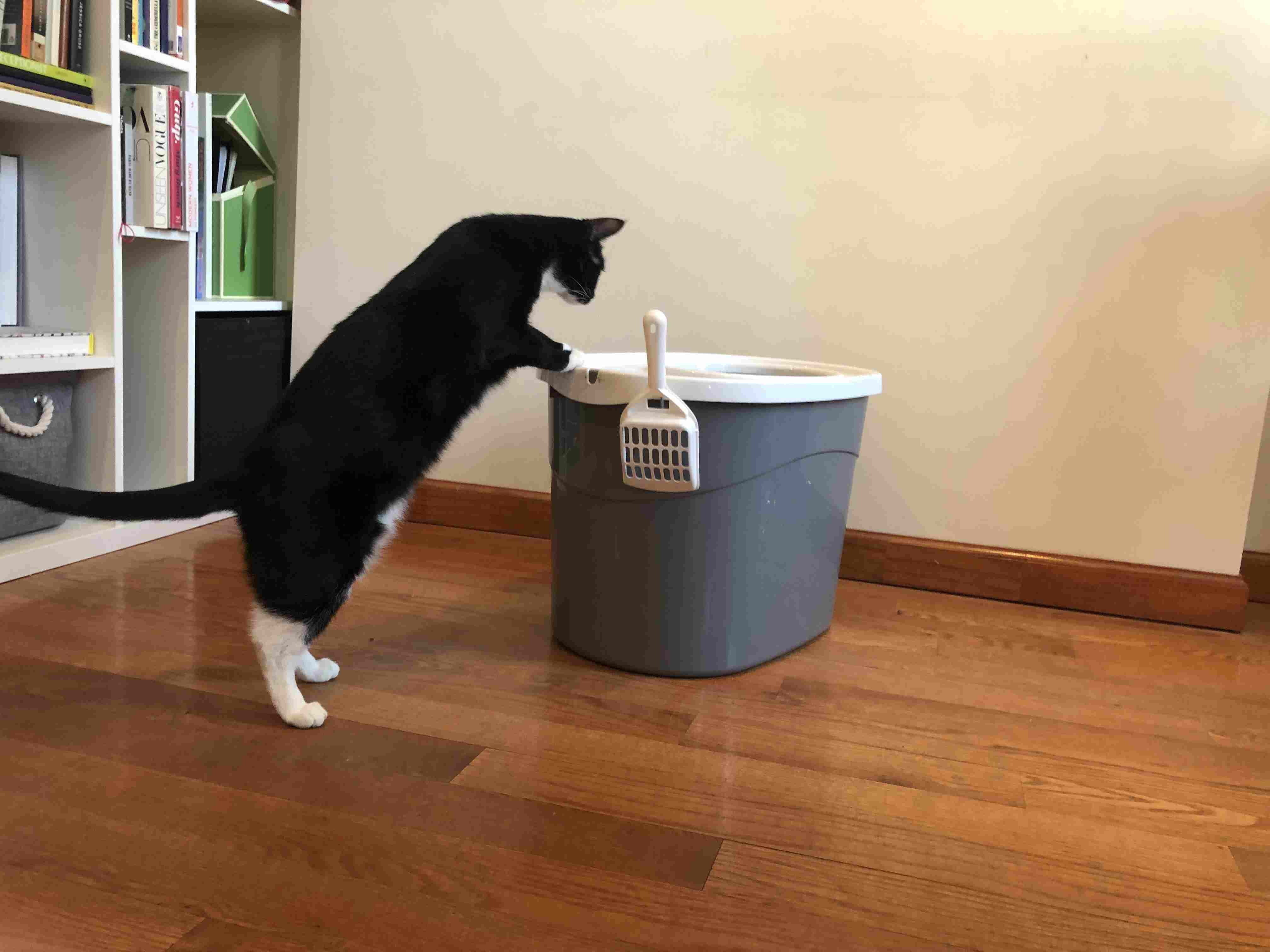 IRIS顶级入口猫砂盒