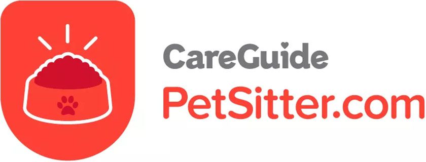 Petsitter