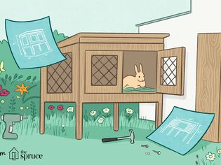 Illustration of a bunny in a hutch