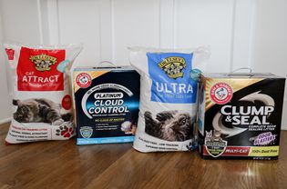 Best Eco-Friendly Cat Litters of 2023