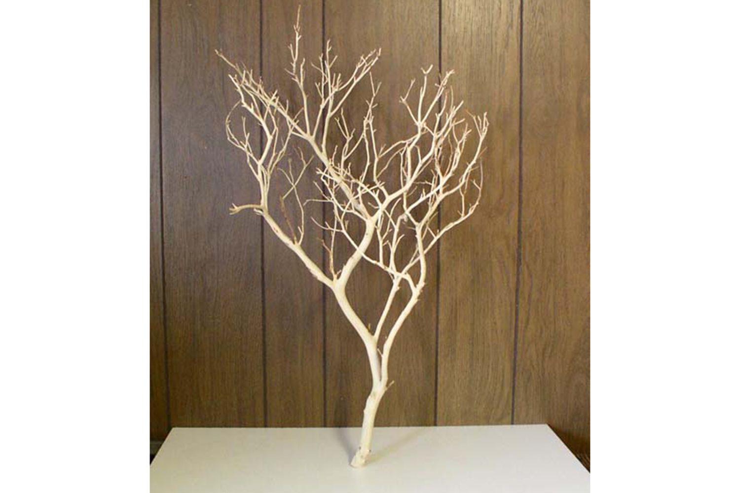 Manzanita Burlworks定制游戏健身房