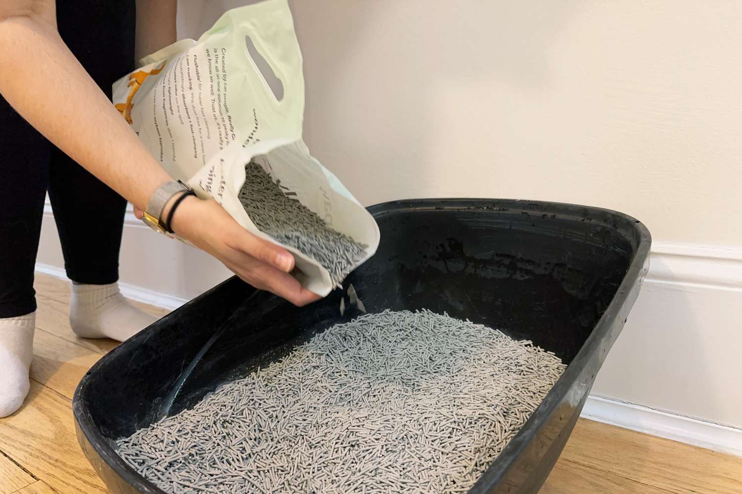 人倒簇和猫爪真正伟大的少r into a litter box