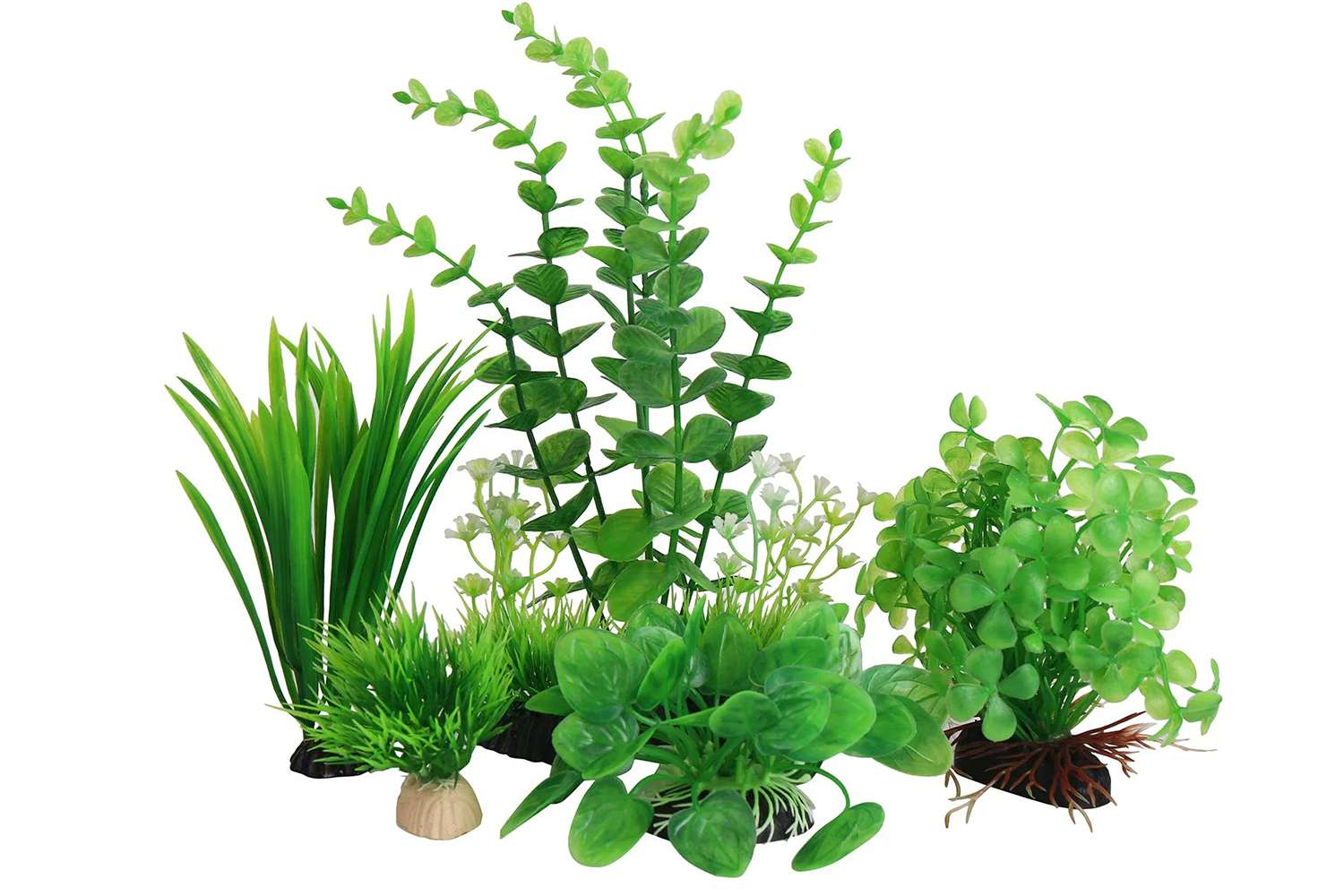 洋乔水族植物