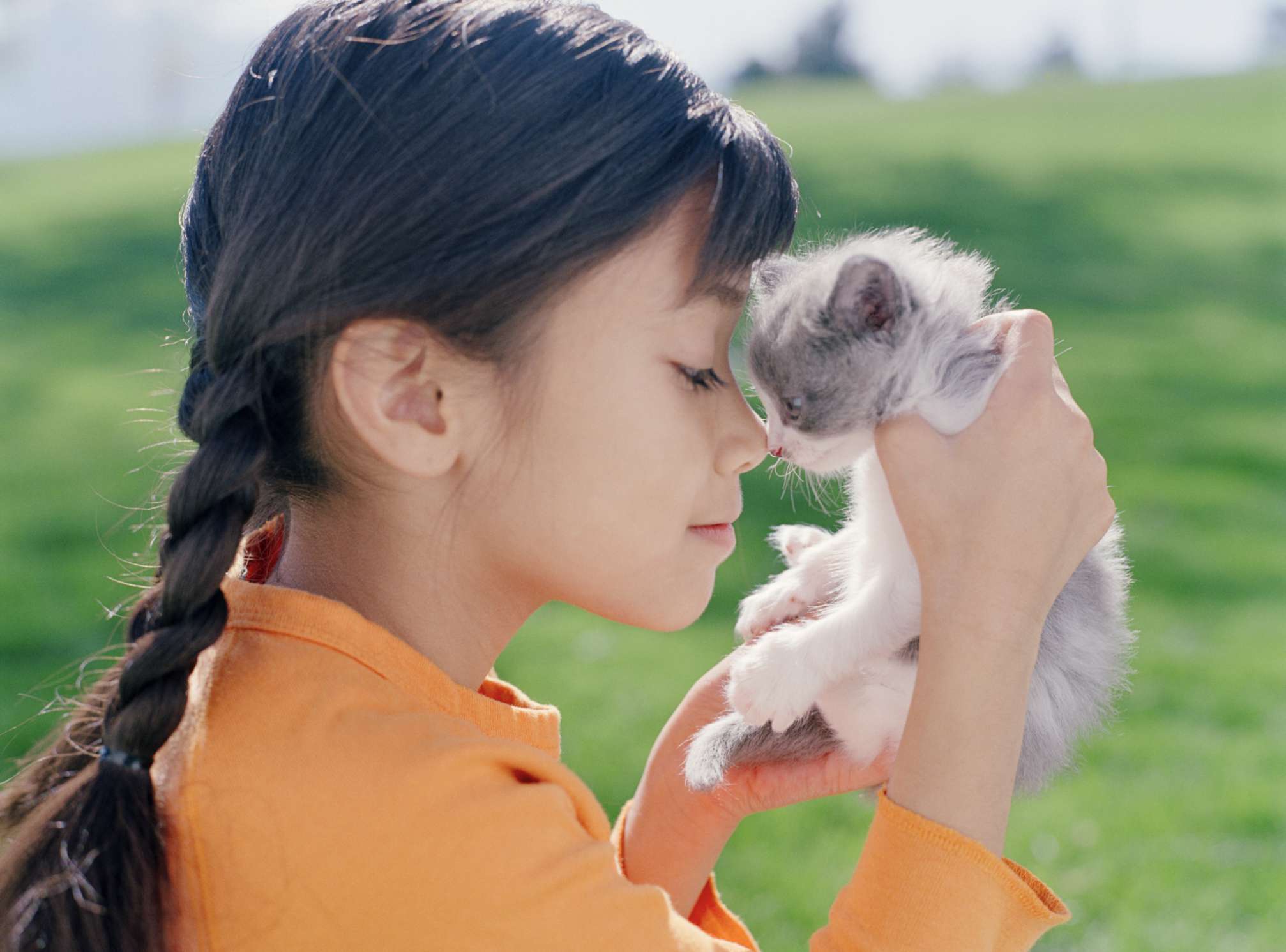女孩抱着小猫