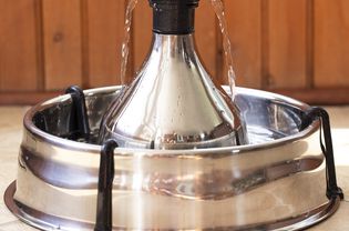 Drinkwell 360多宠物不锈钢喷泉