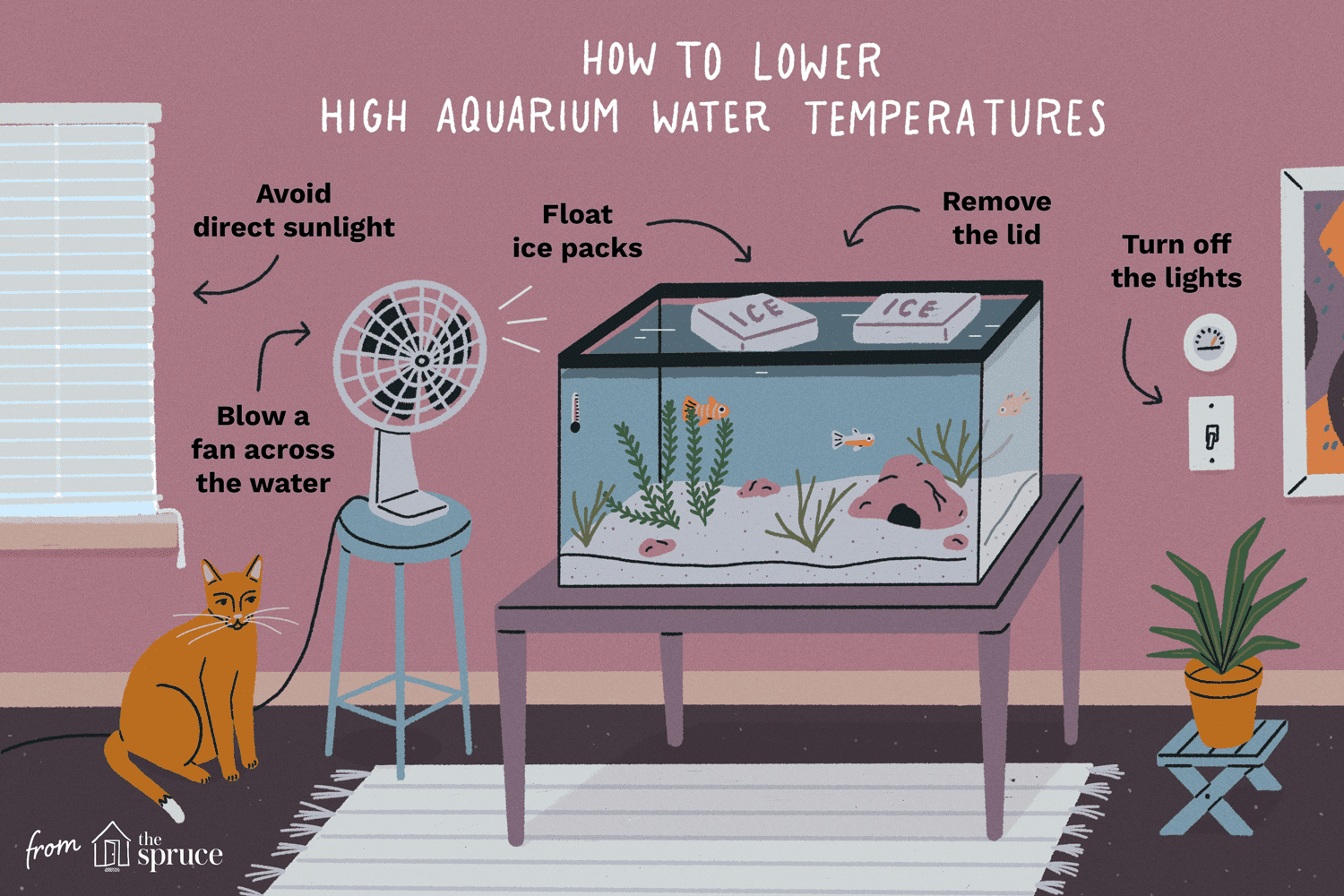 描述如何冷却水族馆温度的插图
