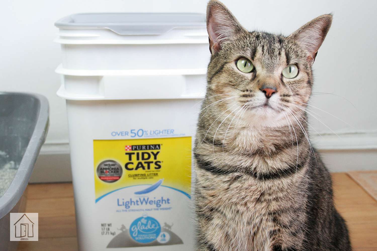 Purina整洁猫轻量级团块猫砂