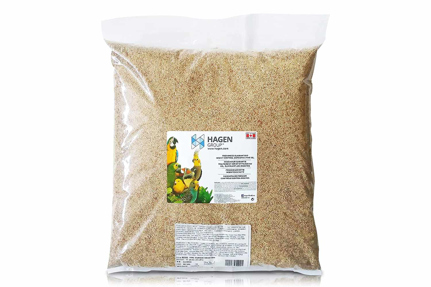 哈根原始混合Budgie种子
