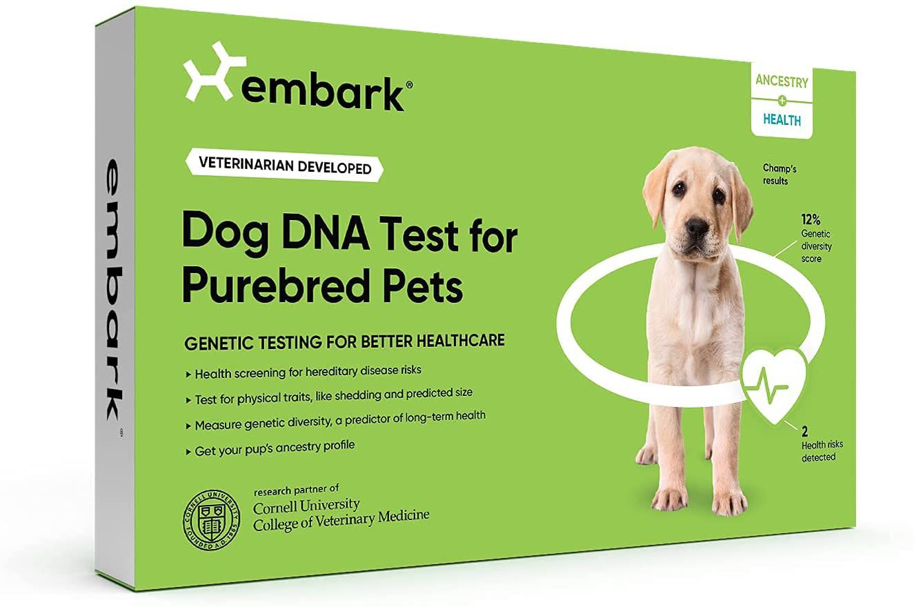 Dog-DNA-Test-Purebred-Embark